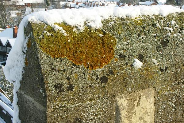 Lichen (& snow) on stonework